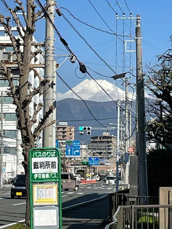 3月15日、判決の日の静岡地裁沼津支部の正面玄関から望む（筆者撮影）