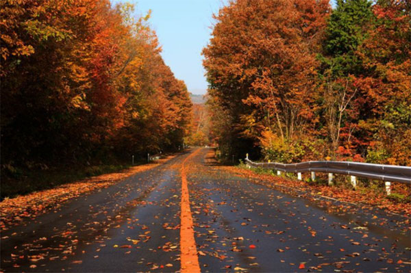 蒜山高原の紅葉。景色は最高だが道路の落ち葉でタイヤを取られないよう慎重な運転を（写真:GYRO_PHOTOGRAPHY/イメージマート）