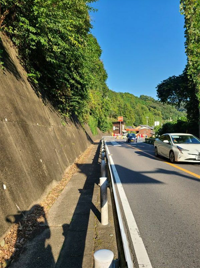 事故現場の国道163号線。大型車同士だとすれ違うのがやっとの道幅だ（遺族提供）