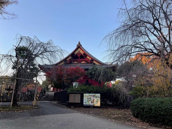 現在の寛永寺
