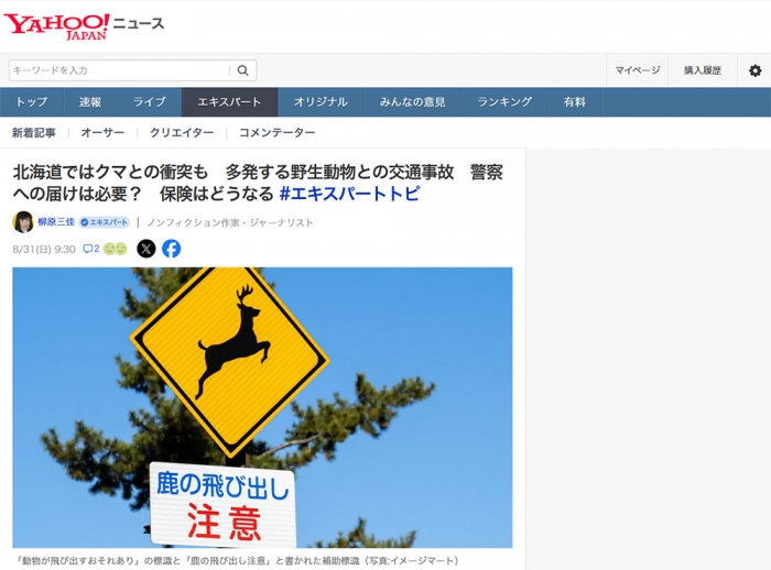 北海道ではクマとの衝突も　多発する野生動物との交通事故　警察への届けは必要？　保険はどうなる #エキスパートトピ