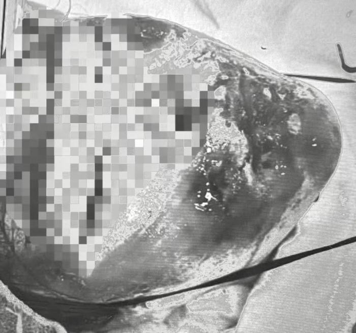 上の写真をモノクロにするとこうなる。だいぶ印象が違う