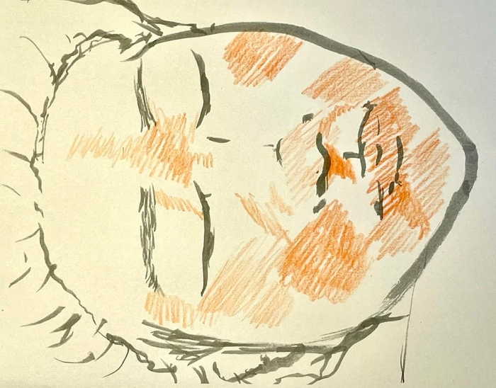 上記写真を筆者がイラストにしてみた。これでは被害の実態など分かりようもないと思うが、現在の裁判員裁判では、証拠写真がこの程度のイラストで代替されている