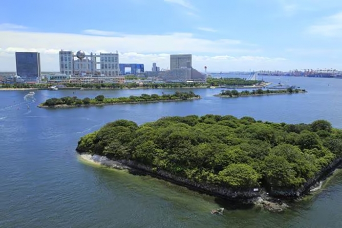 第六台場。こちらは無人島となっている(写真:Koutaro Makioka/a.collectionRF/アマナイメージズ/共同通信イメージズ)